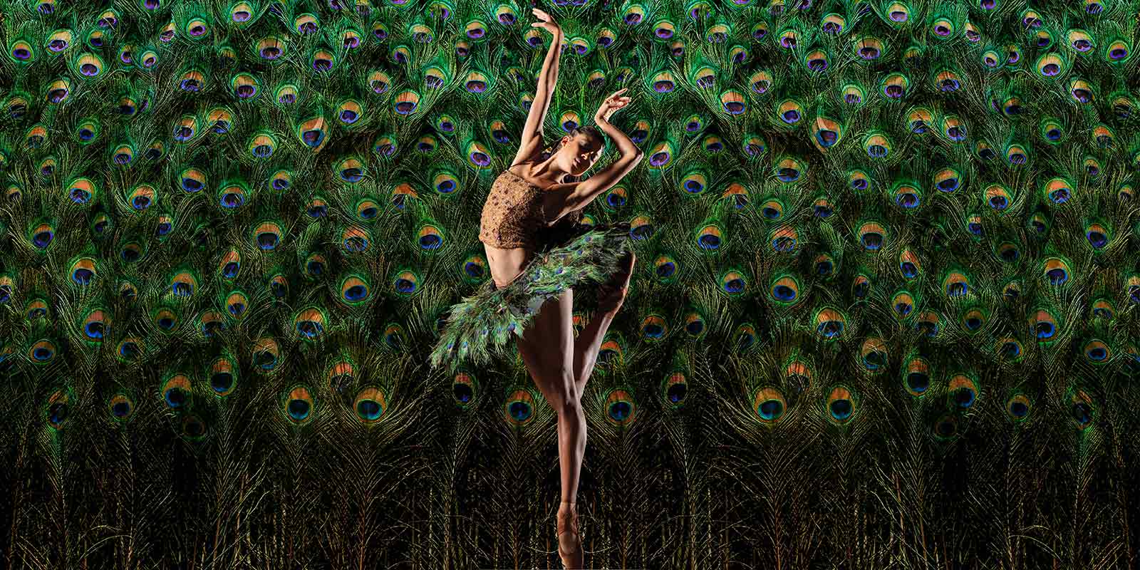 Alonzo King LINES Ballet | Spring 2025